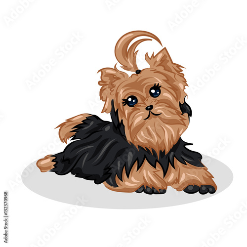 cartoon cute vector yorkshire terrier at the white background