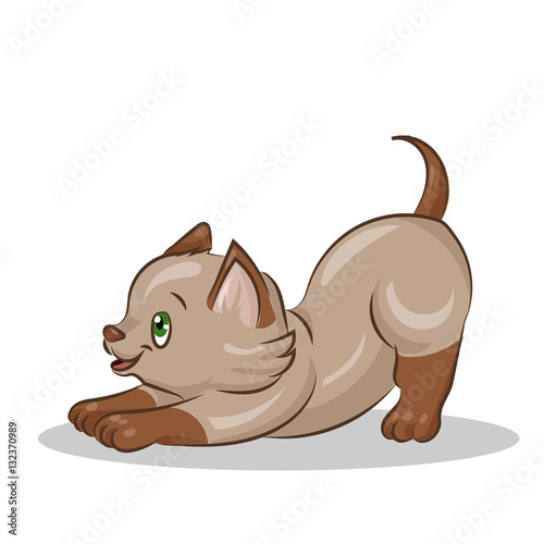 cute cartoon vector colorful cat at the white background