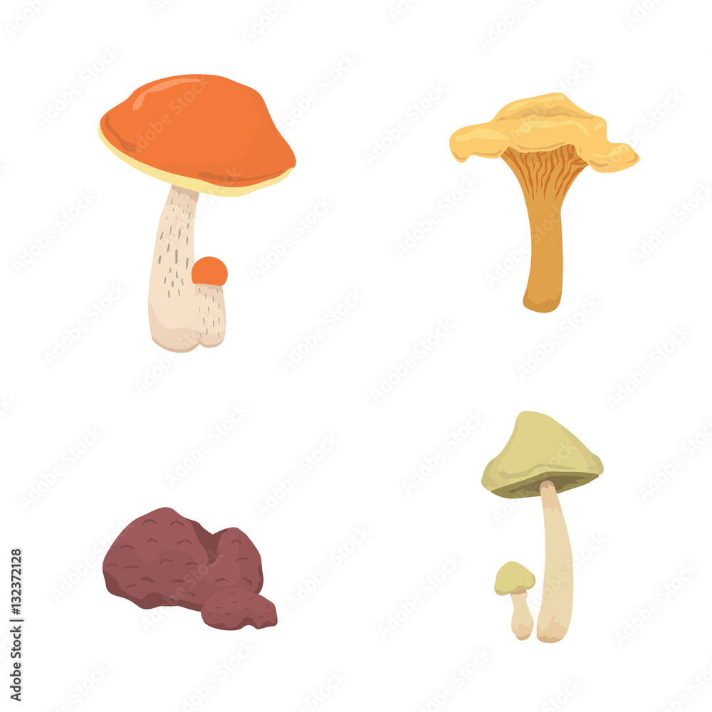 mushroom nature cook food, different kinds of edible mushrooms mushroom nature cook food, different kinds of edible mushrooms