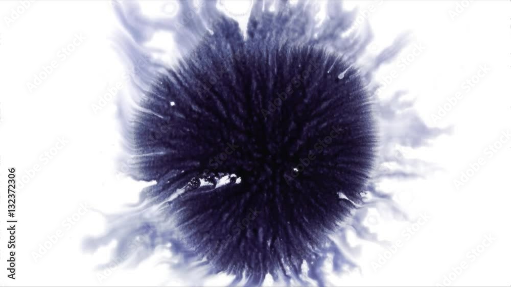 Beautiful watercolor ink drops on white paper, paint bleed Bloom, with black circle organic flow expanding, splatter spreading on clear background. Perfect for motion graphics, digital composition