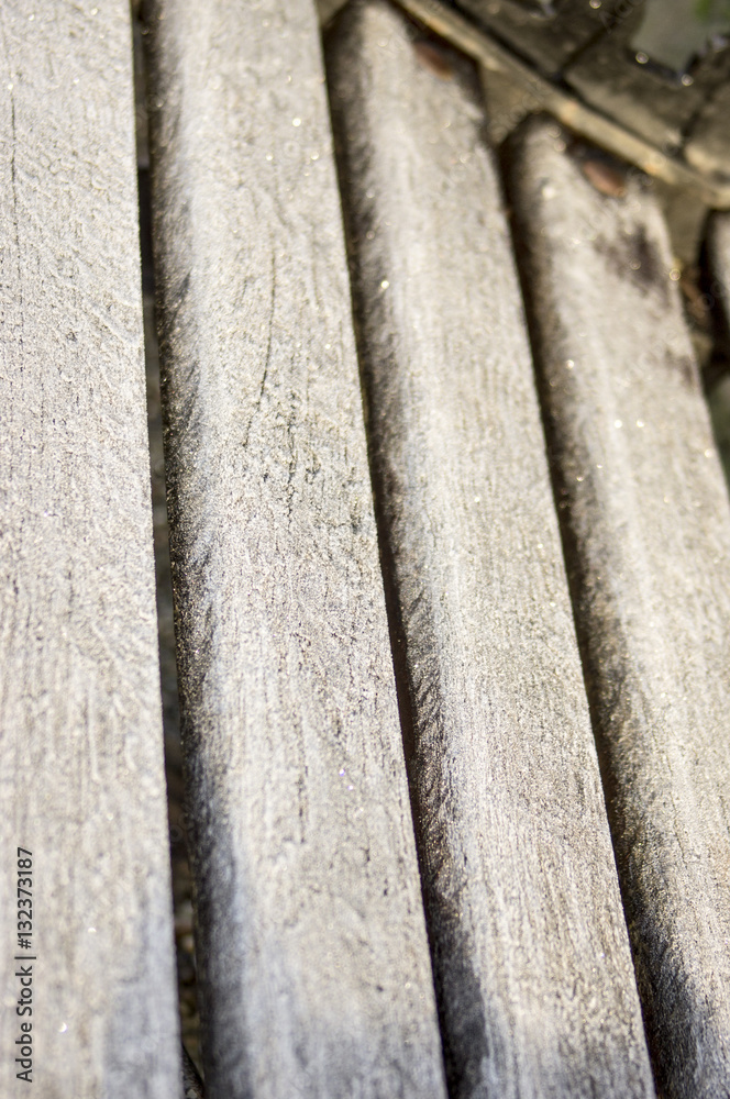 Fototapeta premium Frosty morning