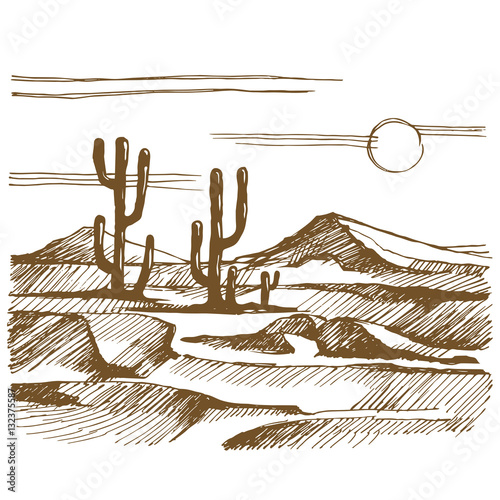 Vector sketch America landscape with cactus