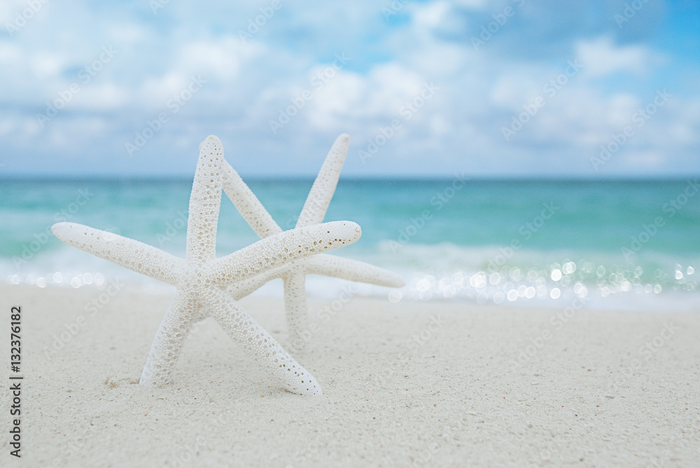 white starfish on white sand beach, with ocean sky and seascape white starfish on white sand beach, with ocean sky and seascape