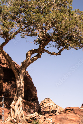 Petra sandstone