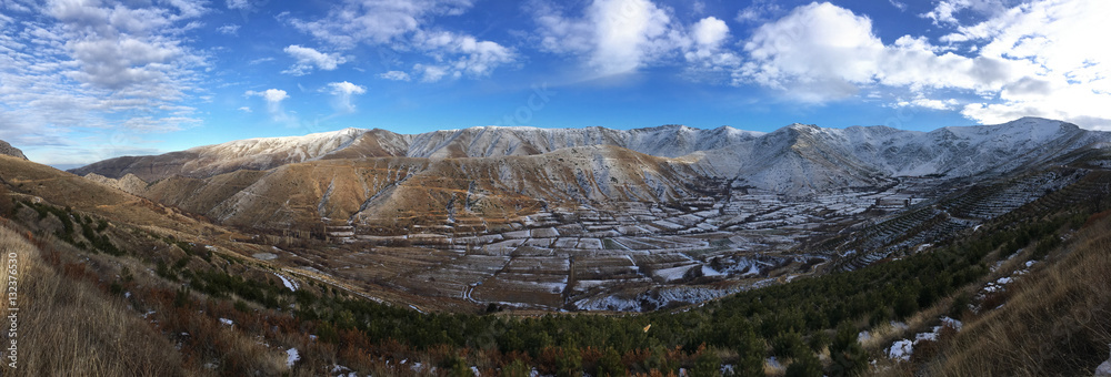 Panoramic shot of winter time landscape