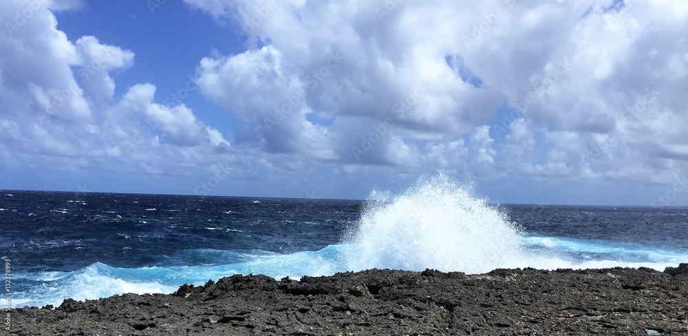 Obraz premium Windward side of the island of Bonaire.