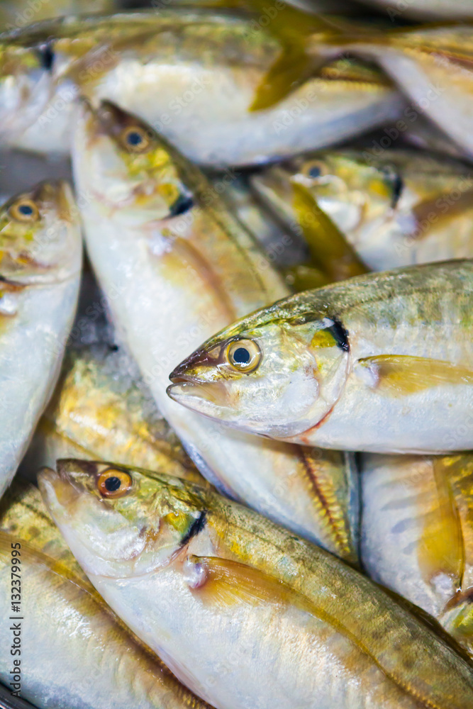 fish market abu dhabi, fish, market, fhish in ice, Shrims, seafo fish market abu dhabi, fish, market, fhish in ice, Shrims, seafo