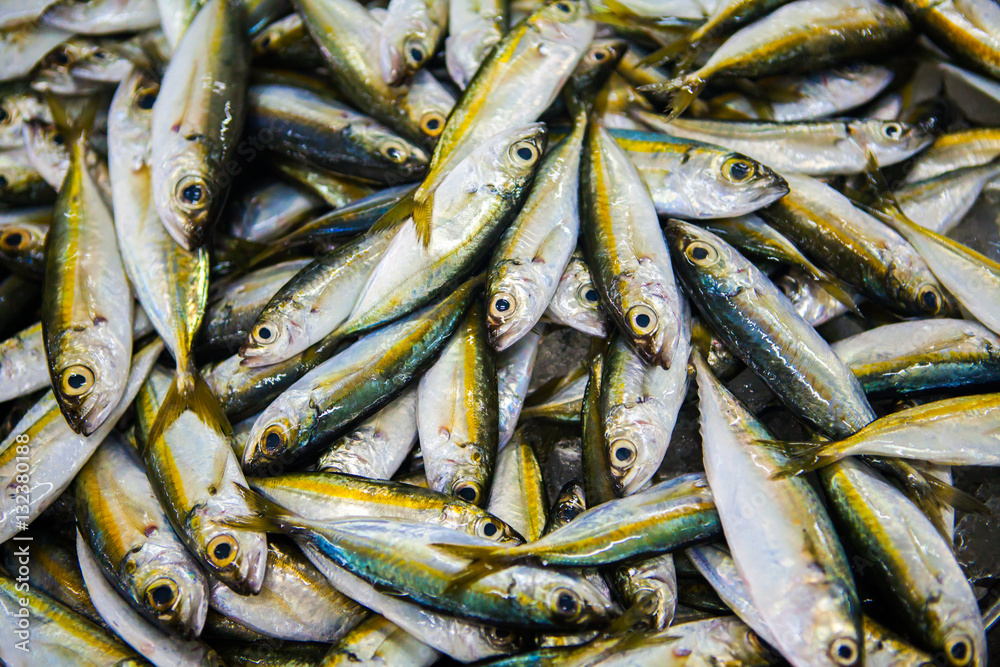 fish market abu dhabi, fish, market, fhish in ice, Shrims, seafo fish market abu dhabi, fish, market, fhish in ice, Shrims, seafo
