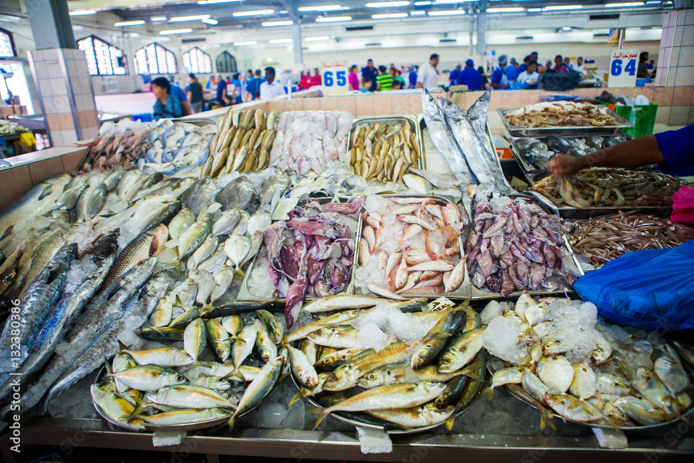 fish market abu dhabi, fish, market, fhish in ice, Shrims, seafo