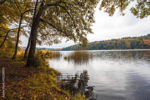 Autumn in german Mountains and Forests - Liepnitzsee - Wandlitz / Berlin and Brandenburg photo