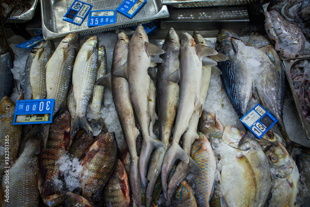 Fototapeta premium fish market abu dhabi, fish, market, fhish in ice, Shrims, seafo