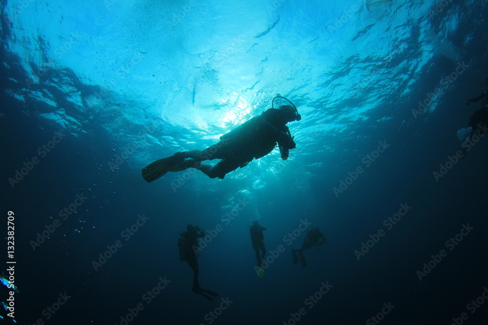 Scuba dive Scuba dive