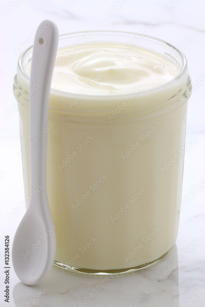 plain french style yogurt plain french style yogurt