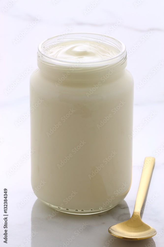 plain french style yogurt plain french style yogurt