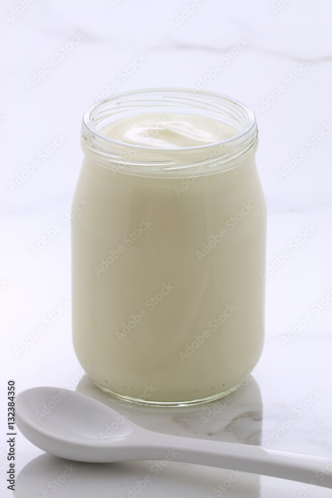 plain french style yogurt plain french style yogurt