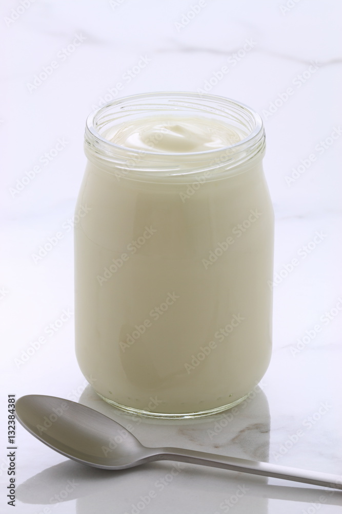 plain french style yogurt plain french style yogurt
