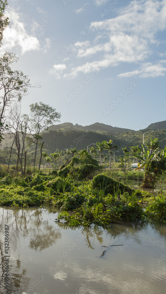 Vertical landscape of mountains and mangrove swamp in Dominican