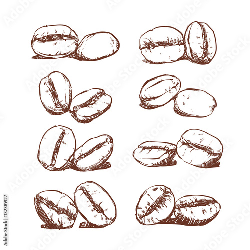 Coffee bean Hand drawn vector, Coffee clip art