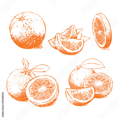 Orange Isolated on white background. Juice vector illustration, Clip art