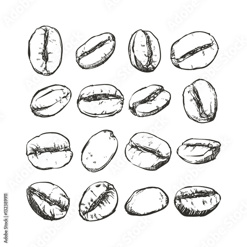 Coffee bean Isolated, Hand drawn vector sketch, Coffee clip art