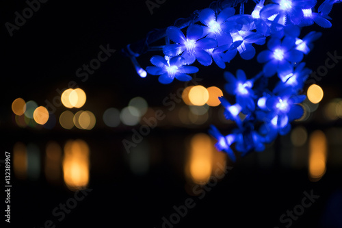 Nong Prajak Public Park Udon Thani, Thailand bokeh LED flowers colorful illuminated plastic optical fibers in dark back photo