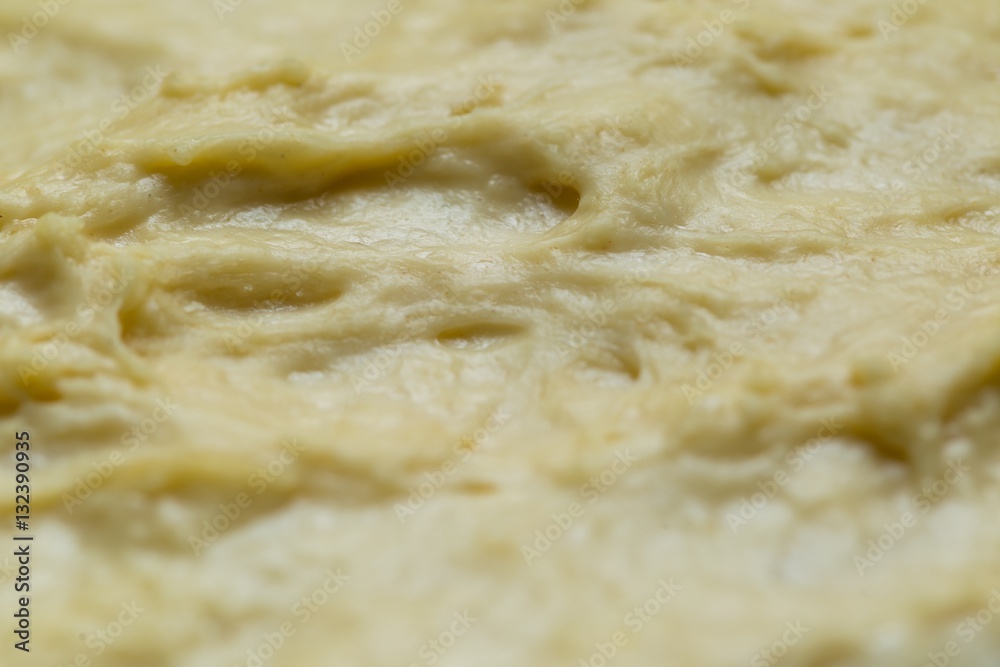 Raw yeast cake growing in bowl Raw yeast cake growing in bowl