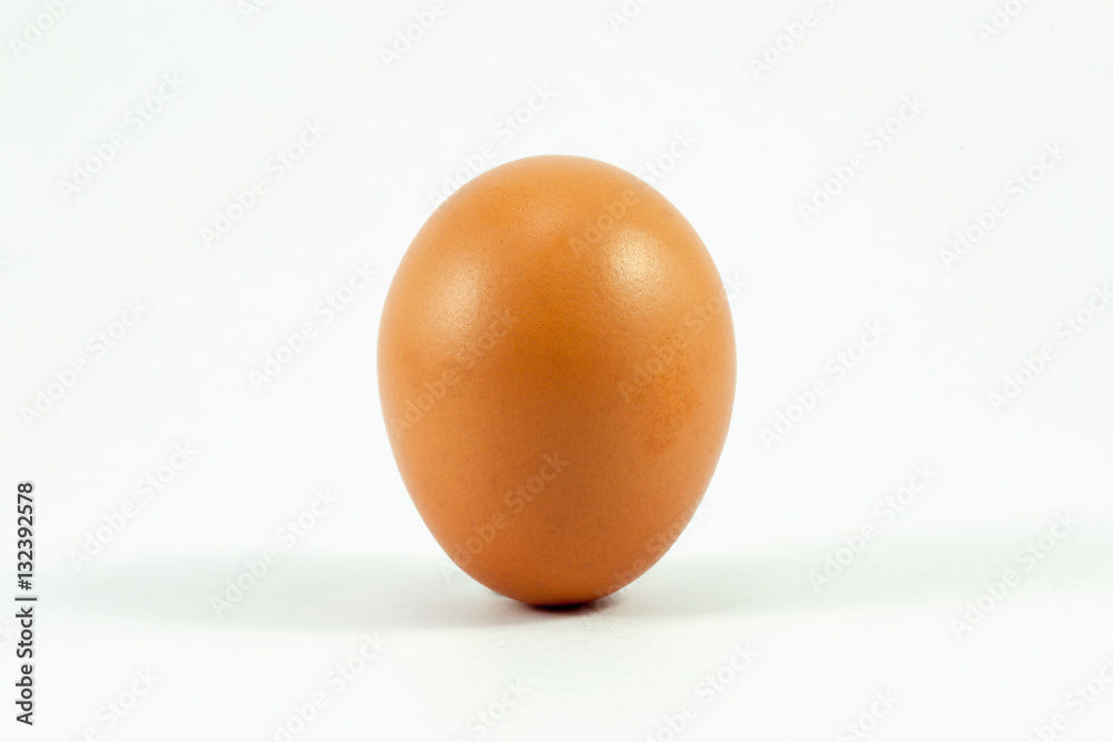 Single brown chicken egg isolated on white Single brown chicken egg isolated on white