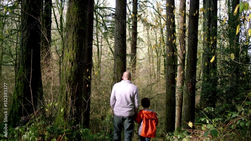 A father and son holding hands and walking through a forest, brother runs down the path A father and son holding hands and walking through a forest, brother runs down the path