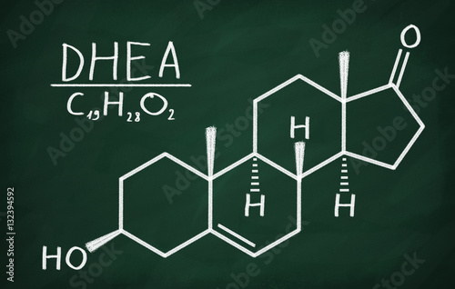 Structural model of DHEA photo