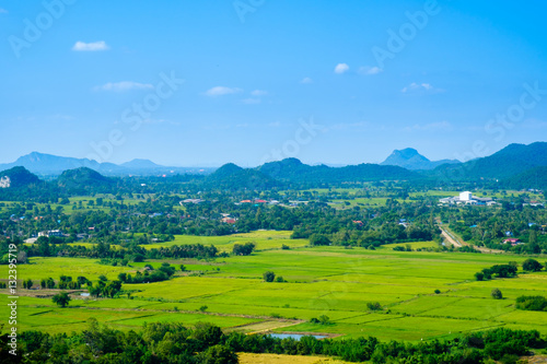 RRice field with mountain blue sky background,  Thailand local photo