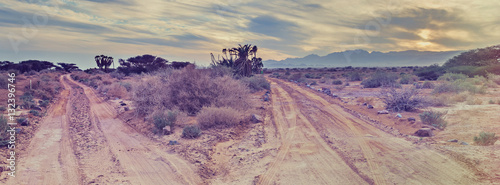 Savannah valley of Arava with southernmost and rare sort of tropical trees  in the Middle East -doum palms (Hyphaene thebaica)  near a border between Jordan and Israel

 photo