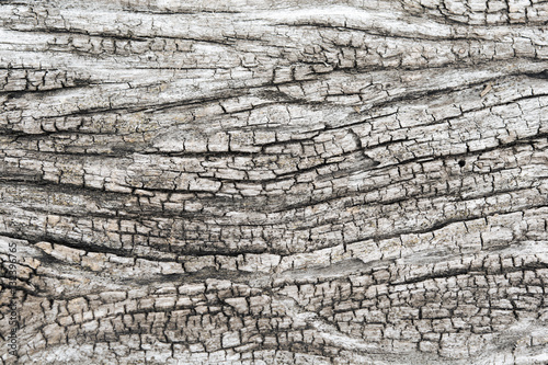 Texture of old wood background