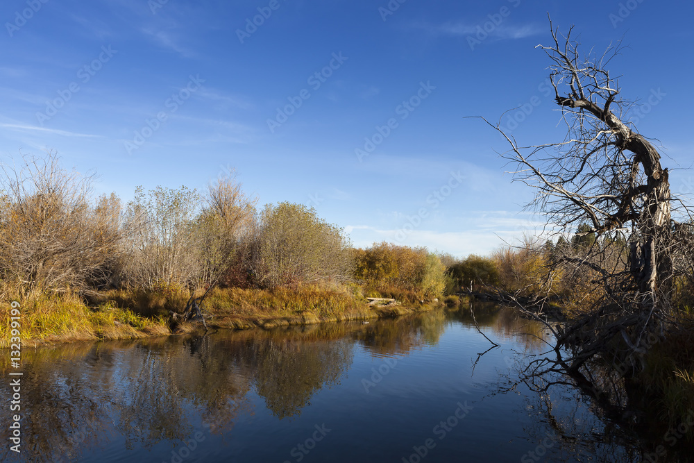 Taylor Creek, Lake Tahoe. Calm reflective river and tree with blue sky.