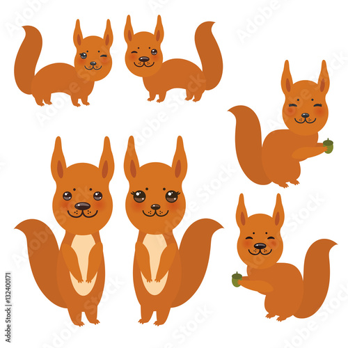 Set of funny red squirrels with fluffy tail with acorn isolated on white background. Vector