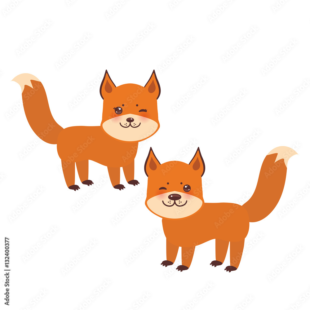 set of cute fox, boy and girl with funny face and big eyes and fluffy tails isolated on white background. Vector