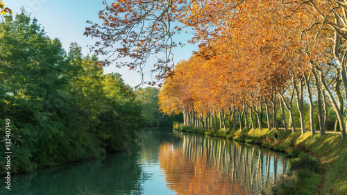Fototapeta Naklejka Na Ścianę i Meble -  Canal du midi en automne