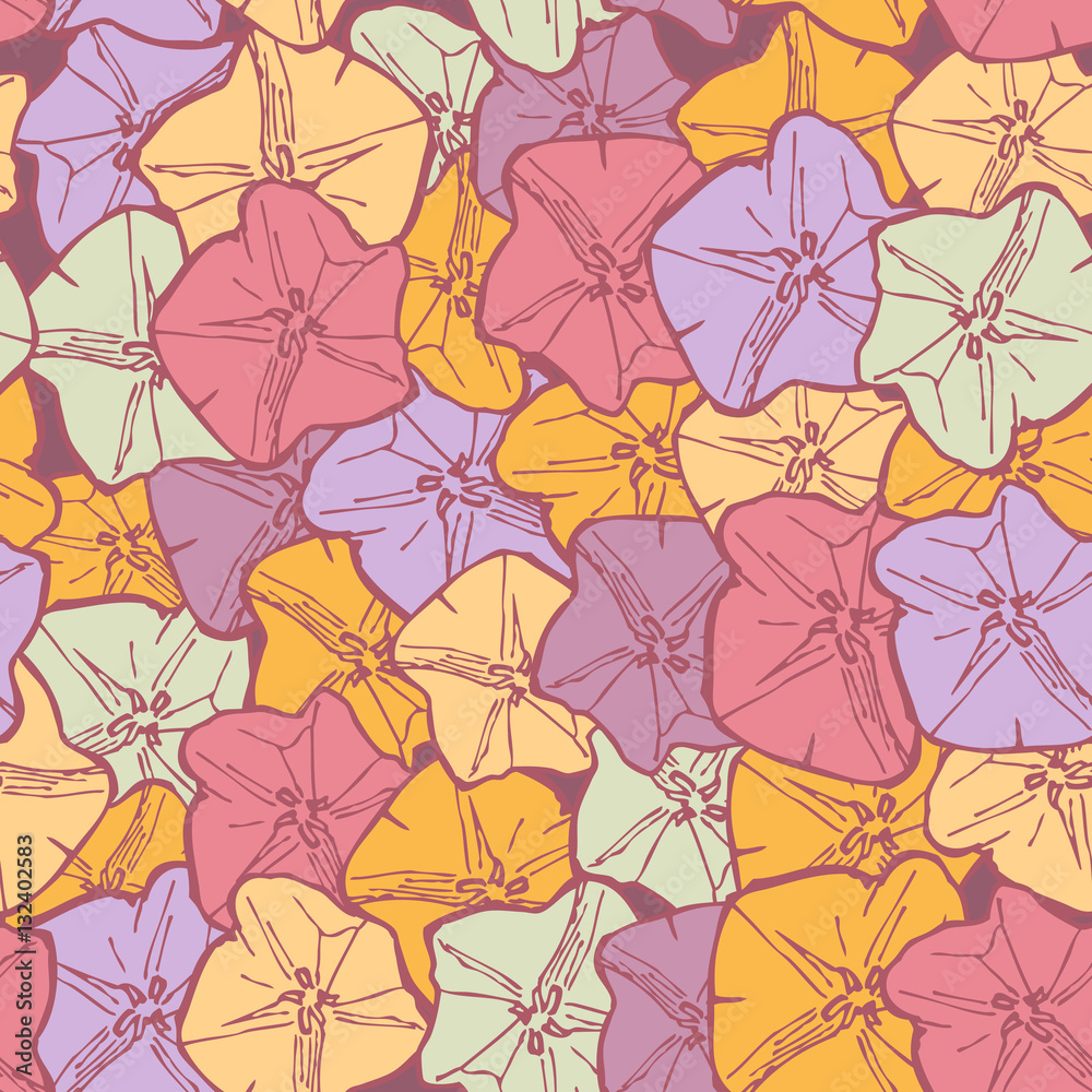 bindweed floral seamless pattern flowers contours pink lilac blue orange on maroon background hand-drawn. Vector bindweed floral seamless pattern flowers contours pink lilac blue orange on maroon background hand-drawn. Vector
