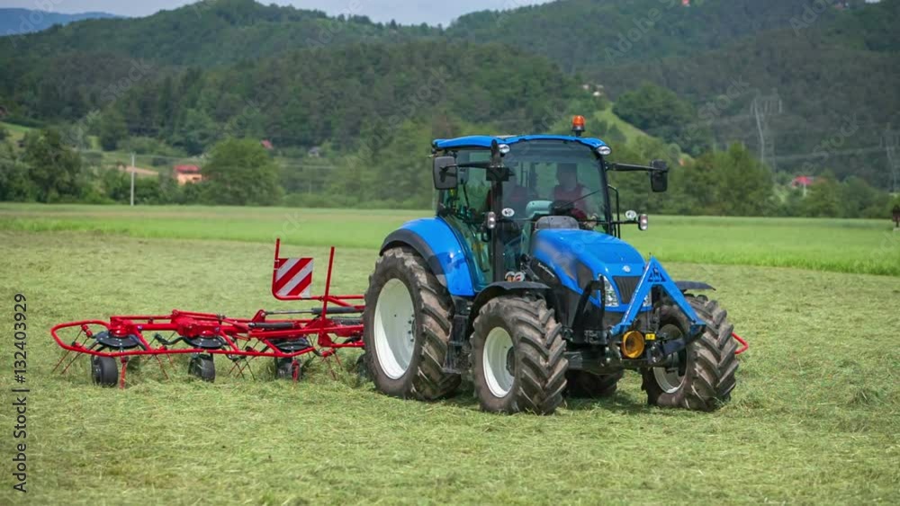 A blue tractor is driving across the mowed lawn and the rakes are turning hay around. It is a hot summer day.
A blue tractor is driving across the mowed lawn and the rakes are turning hay around. It is a hot summer day.