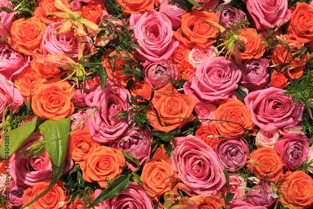 Mixed pink and orange roses Mixed pink and orange roses