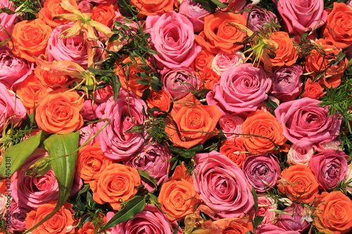 Fototapeta Naklejka Na Ścianę i Meble -  Mixed pink and orange roses