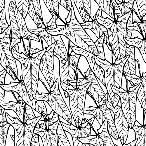 leaves bindweed floral seamless pattern black Leaves contours on white background hand-drawn. Vector
