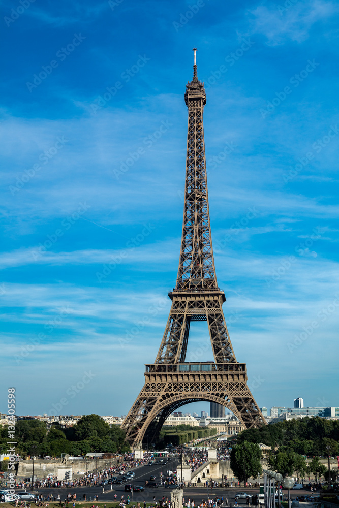 Fototapeta premium The Eiffel Tower