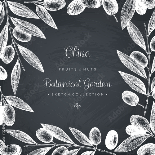 Olive branch wreath. Vintage card design with hand drawn olive tree sketch. Vector template. Botanical illustration on chalkboard