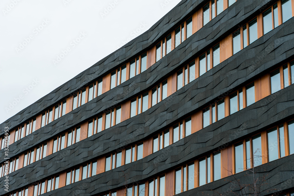 Fototapeta premium modern architectured office building with black lines