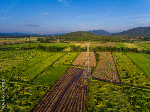 Rice Field in Top View