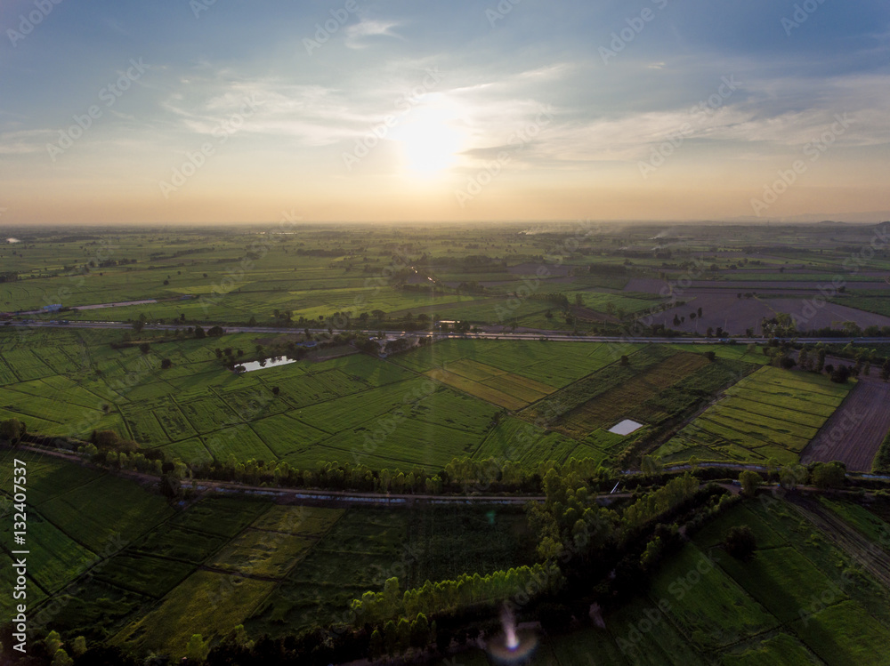 Sunset above Rice Field 