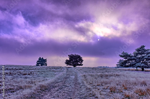 Photo Silhouette of a tree amidst a scenic winter landscape with frozen moorland
