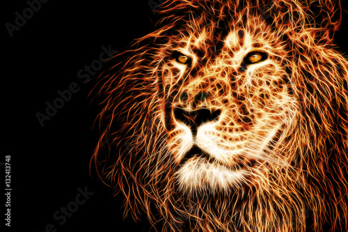 lion head illustration background