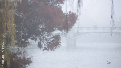 Thames river in a fog: Windsor, England