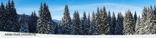 Winter Nature snowy landscape outdoor background.